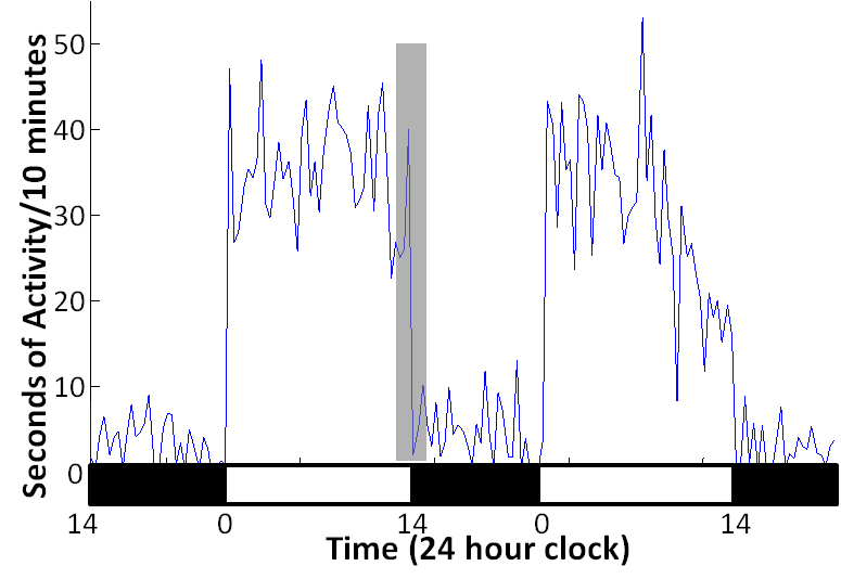 sleep trace
